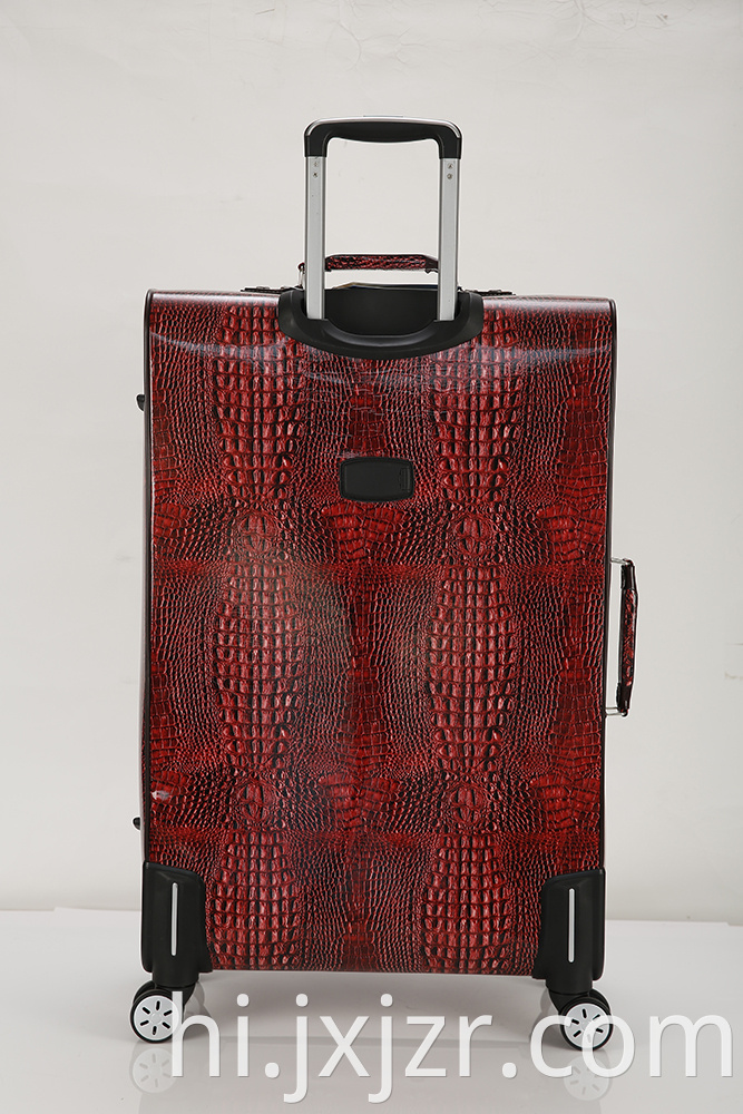 Expandable Checked Spinner Luggage